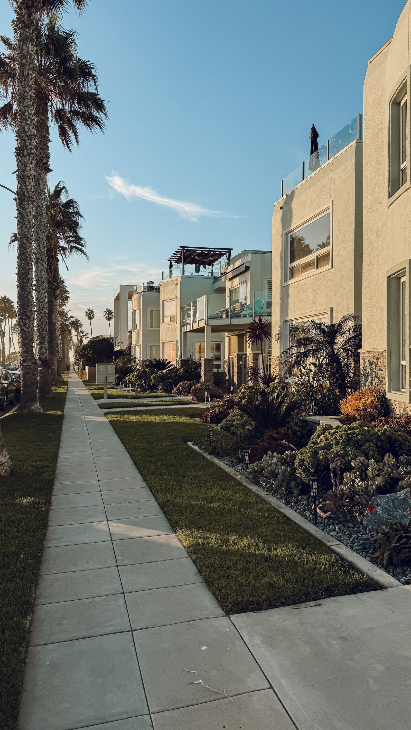 Palm-lined sidewalk beside modern apartment buildings in California.