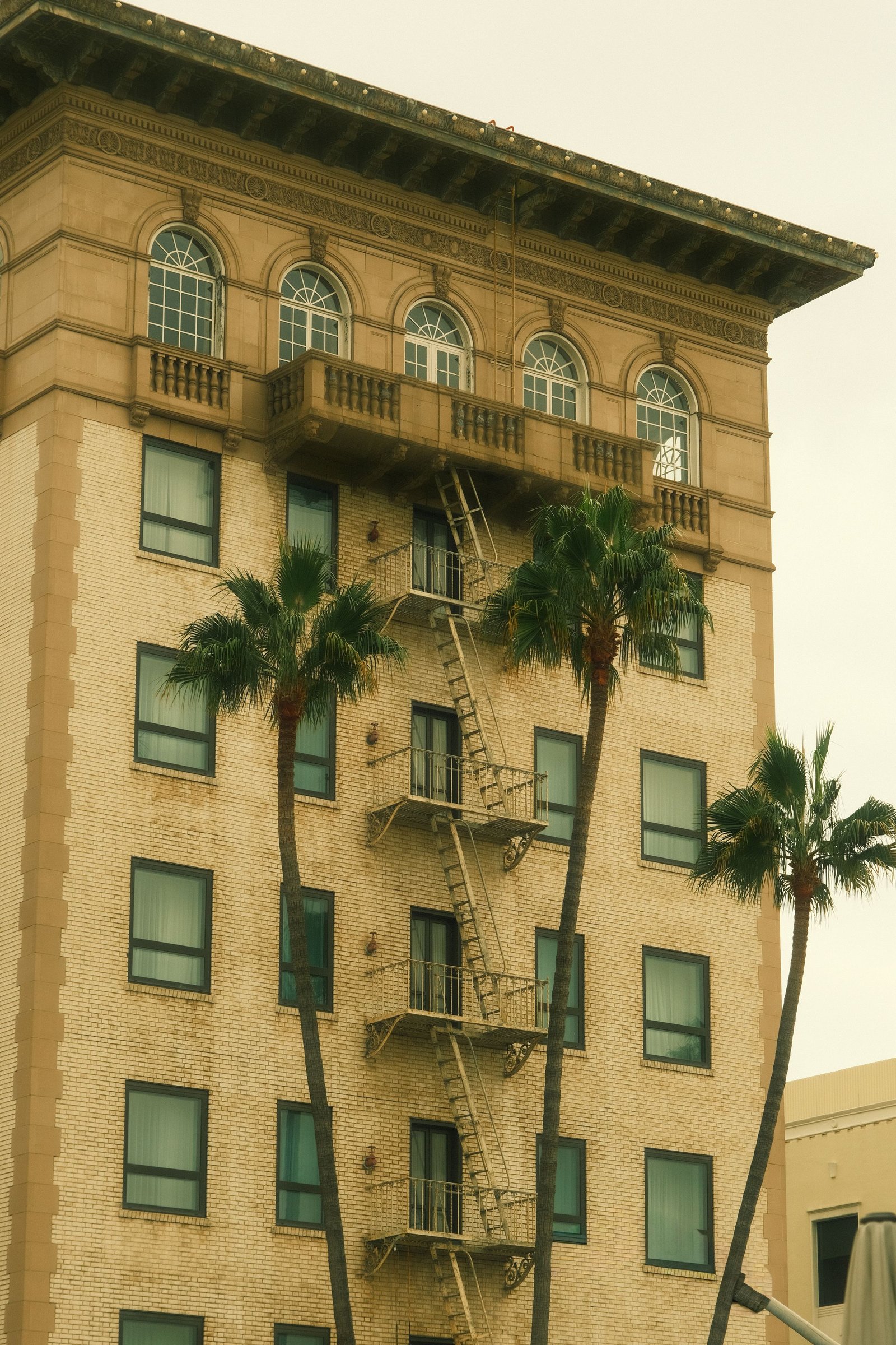 Apartment building with palm trees and exterior fire escapes.