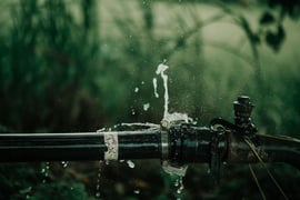 How Landlords Can Prevent Water Damage in Rentals